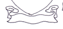 Scrolled Parchment